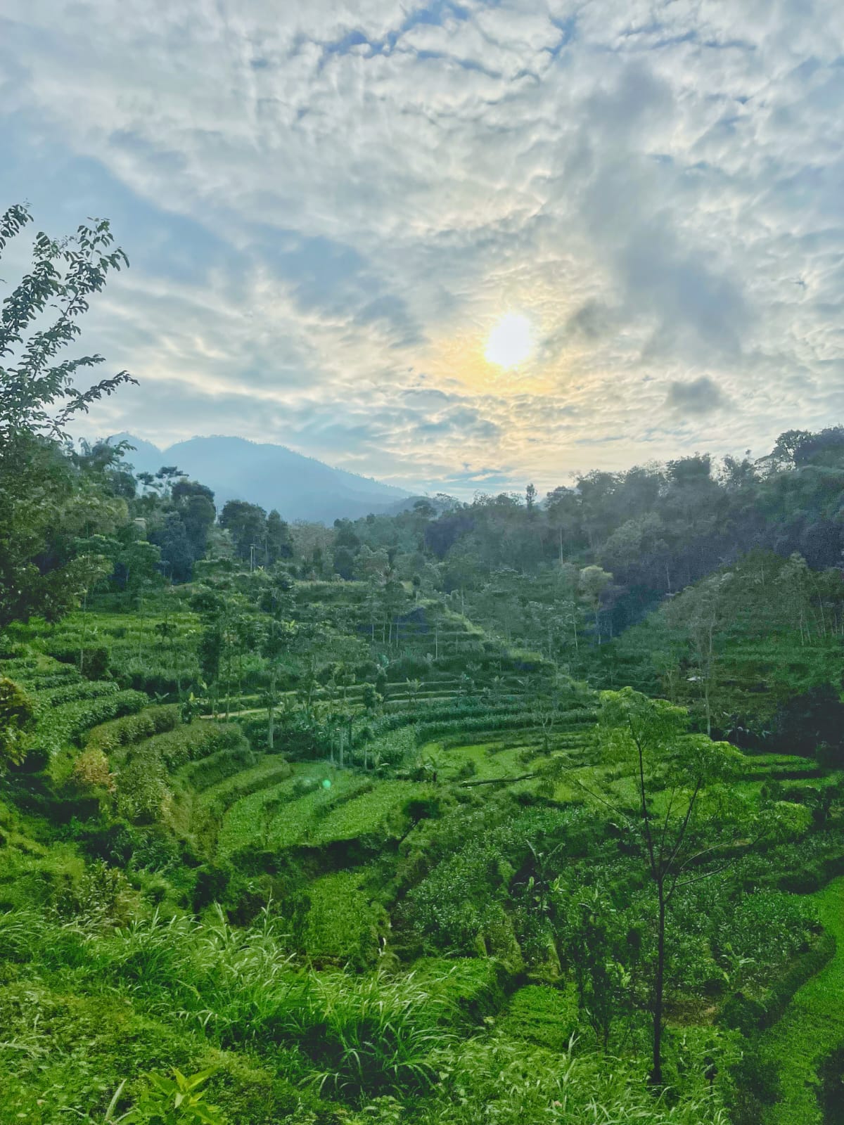 Keindahan Pegunungan dan Perbukitan